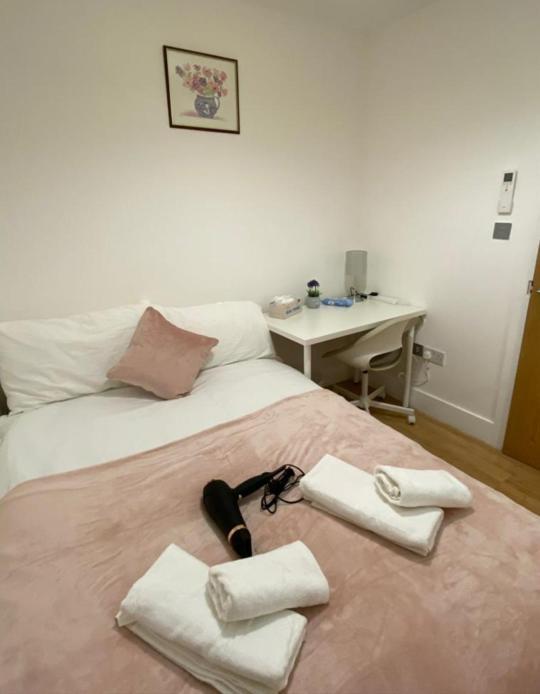 Cosy Private Rooms Near Euston Station, Central לונדון מראה חיצוני תמונה
